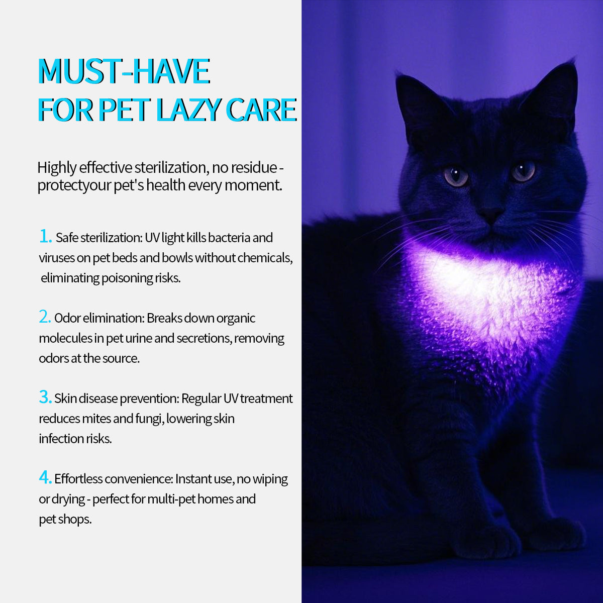 ‎‎PoleShine UV Flashlight - 365nm | High Definition Pure Ultraviolet | Black Light | Rechargeable|H1307